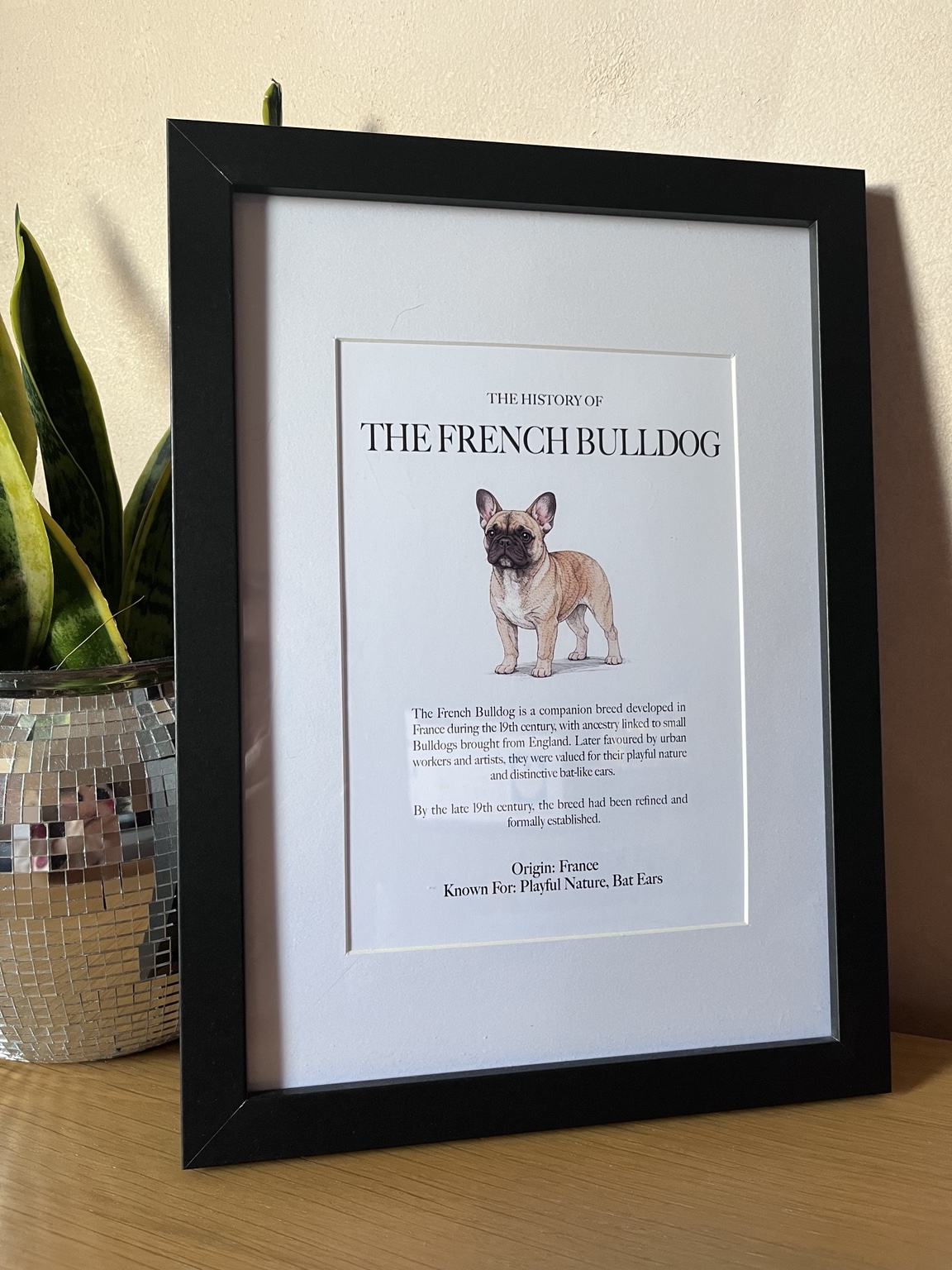 Framed French Bulldog History of Dogs print